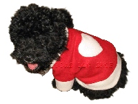 bitte darauf klicken